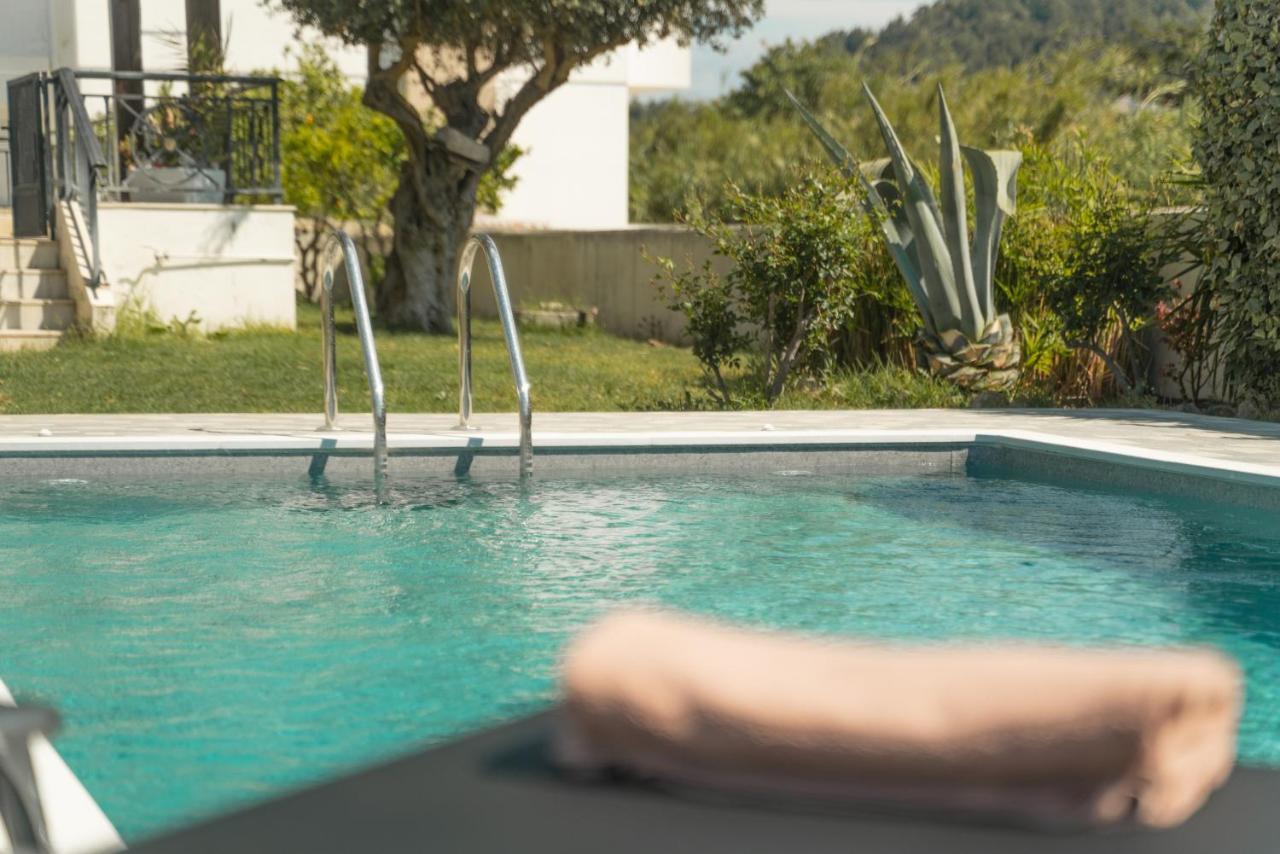 Propodes Luxury Villa Pasztída Kültér fotó
